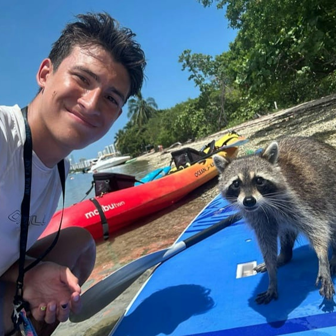 Biscayne Bay & Raccoon Island: SUP/Kayak Adventure - Photo 1 of 6